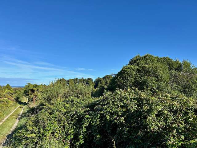70 Sunset Heights Road Karamea_2