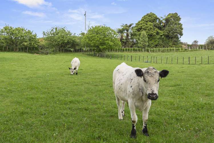 70 Kaimango Road Oparau_19