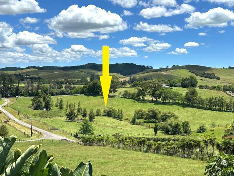 Puketona Road_0