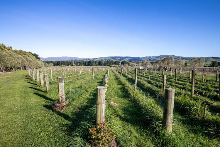 478p Omihi Road Waipara_10