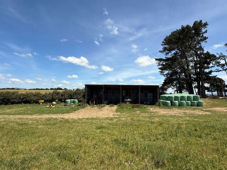 83 Norsewood Ormondville Road Norsewood_10