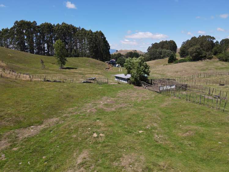 897 State Highway 1 Oruanui_15