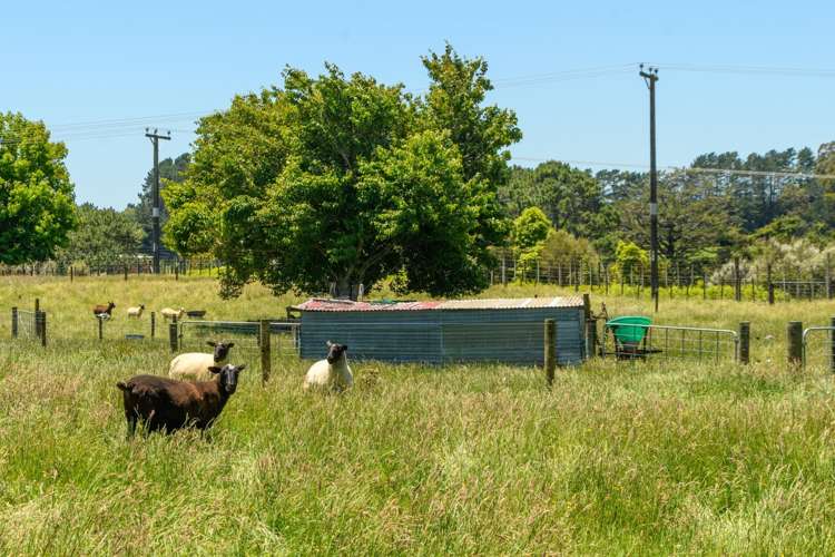 41 Walter Henry Drive Omanawa_46