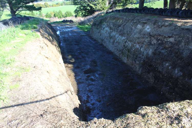 109 Vaughan Road Takapau_16