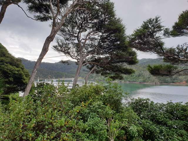 767 Whangaparapara Road Great Barrier Island (Aotea Island)_2