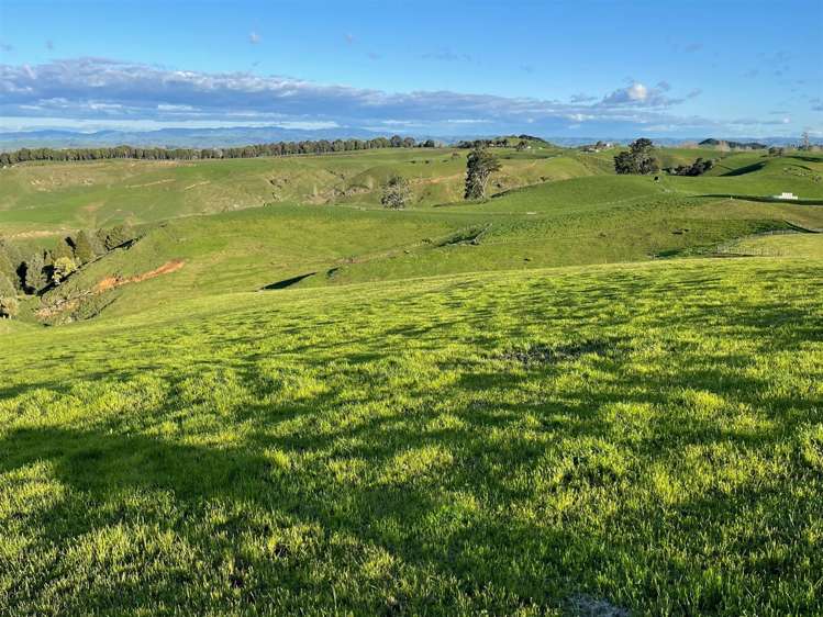 200 Owaikura Road Otorohanga_9