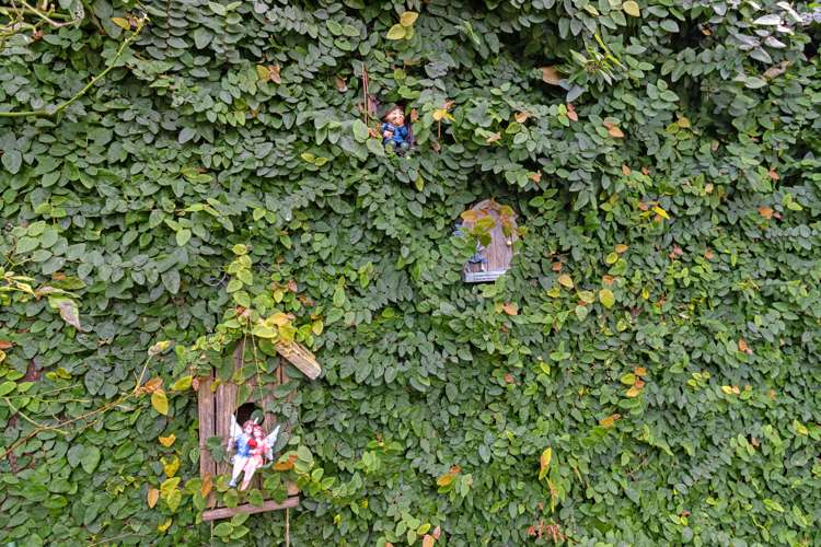 11a Emma Place Pukete_17