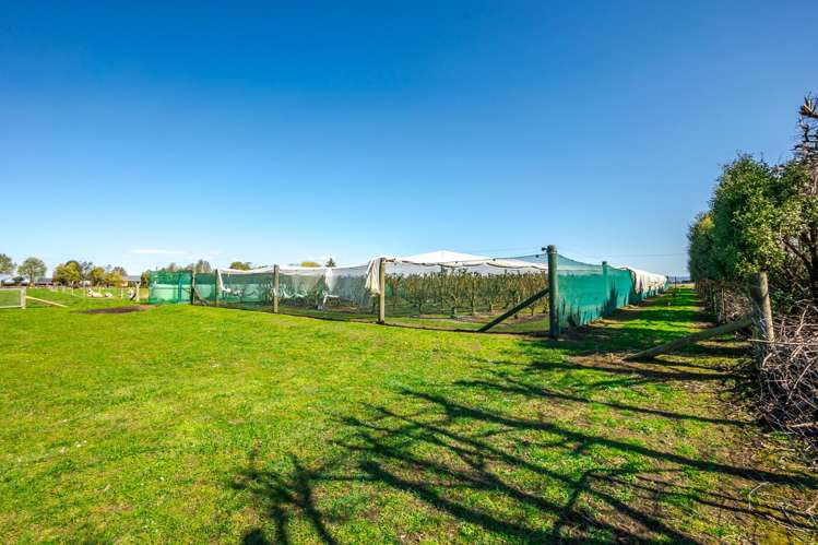 16 Arowhenua Station Road Kerrytown_73