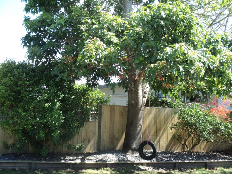 227 Bellona Road Whangamata_18