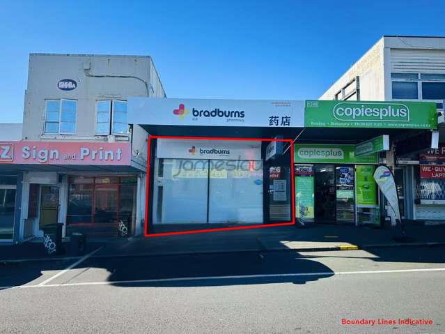 1248 Dominion Road Mount Roskill_1