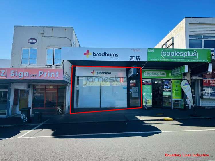 1248 Dominion Road Mount Roskill_1