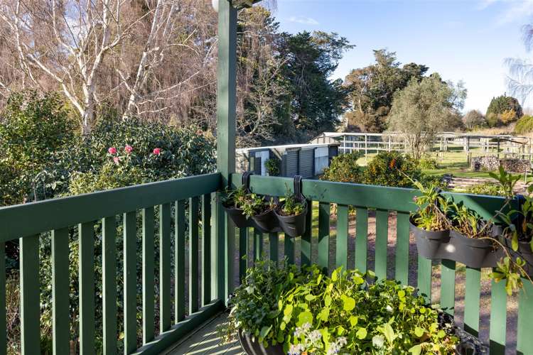 144 Blind Creek Road Tuamarina_30