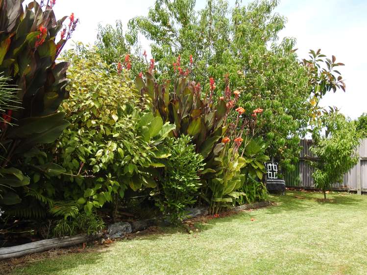 13 Murraee Street Wairoa_17