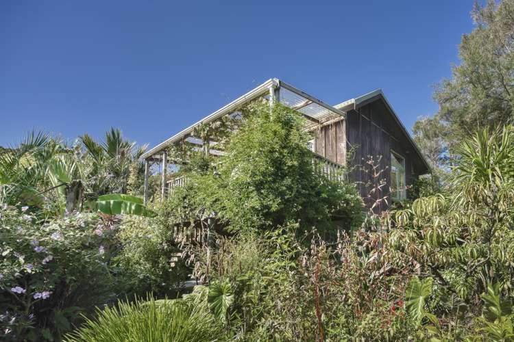 42 Gibbs Road Collingwood_12