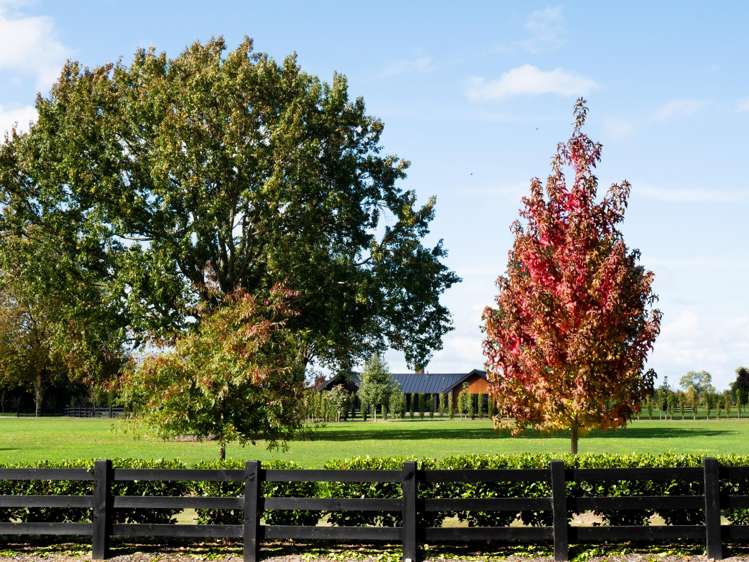 - Highgrove Station Road Matamata_12