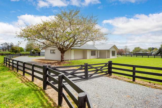 Country space with stunning Kaimai views