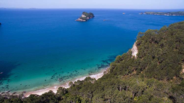 282 Lees Road Hahei_18