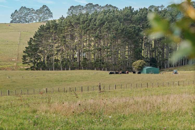 64 Haszard Road Taupaki_14