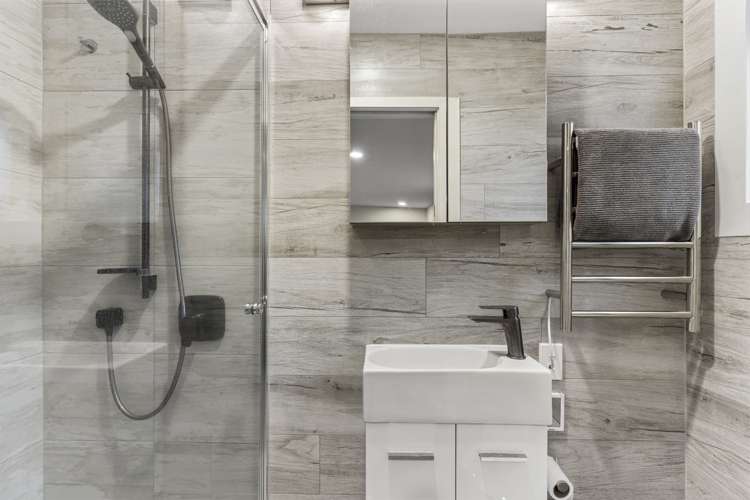 97 Alberton Avenue Mount Albert_13