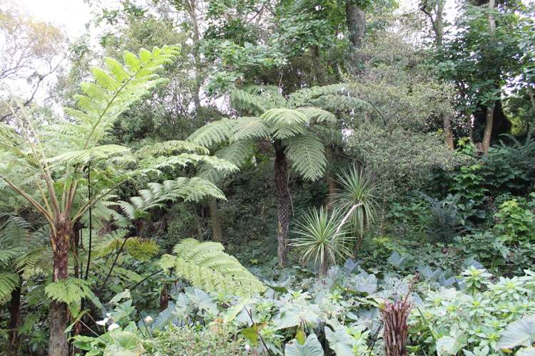 30a Halver Road Hillpark_19