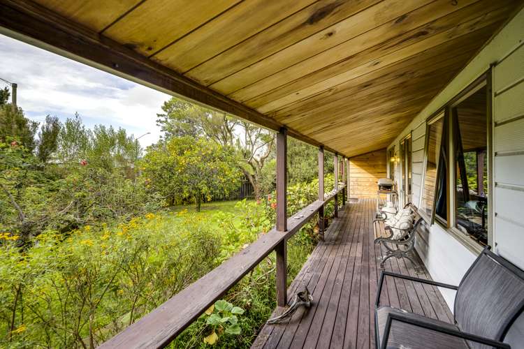 47 Plunket Street Tamatea_15