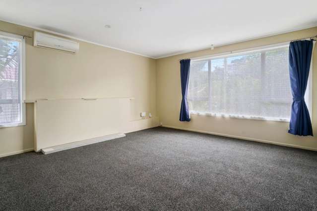 10 Subritzky Avenue Mount Roskill_3