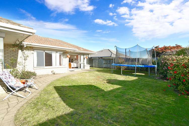 31 Fahey Avenue Mount Maunganui_16