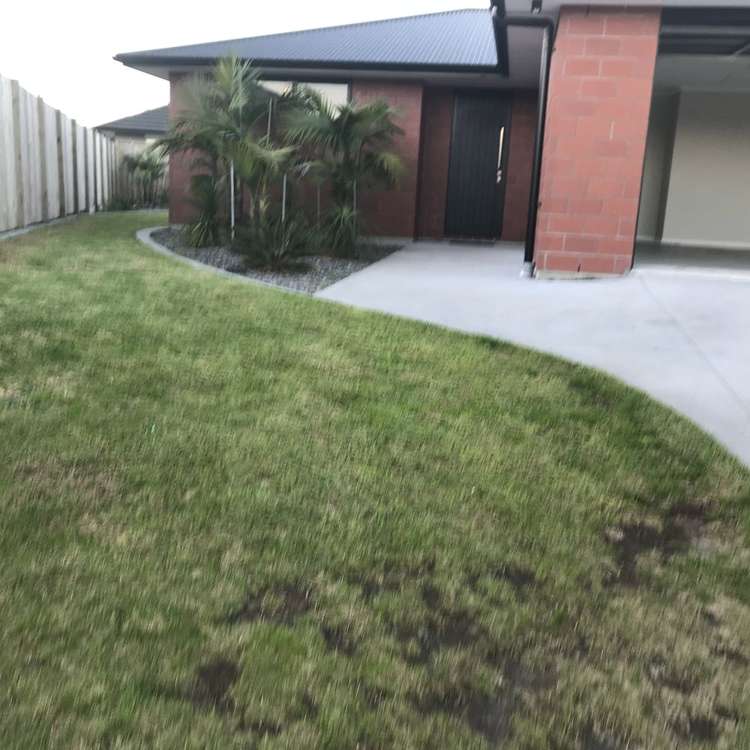 71 Te Kio Crescent Papamoa_0