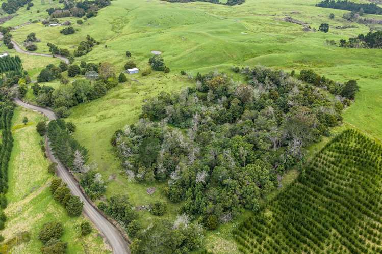 757 Opanake Road Parore Dargaville_49