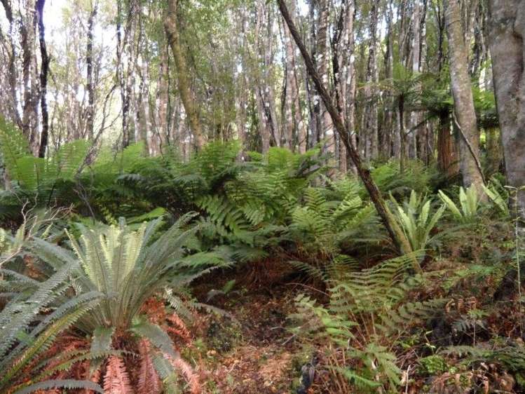 361 Back Road Stewart Island/Rakiura_4