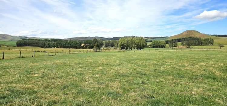 391A Otama Road Otama_21