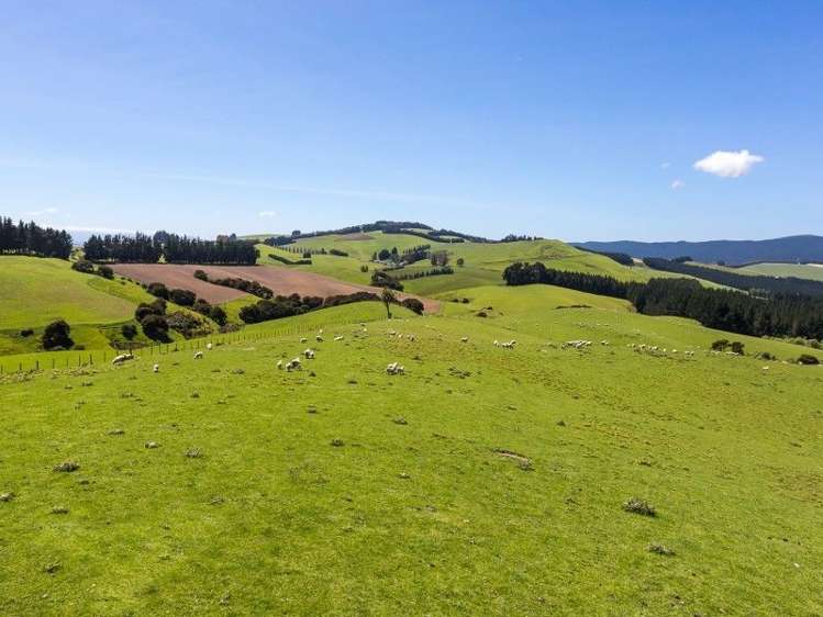 536 Circle Hill Road Milton_13