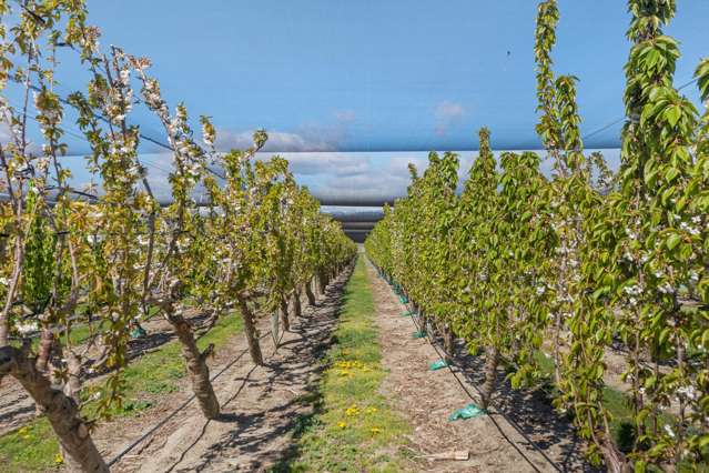 999 Luggate-Cromwell Road Mount Pisa_2