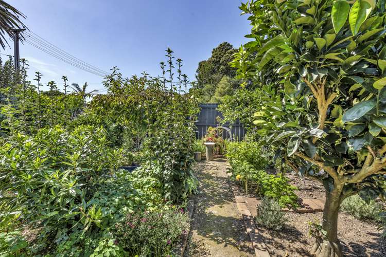 9a Pah Road Cockle Bay_5