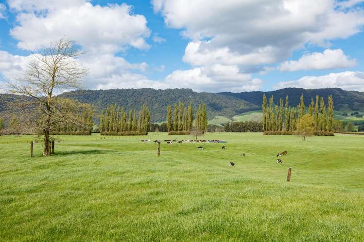 72 and 82 Harding Road Matamata_18