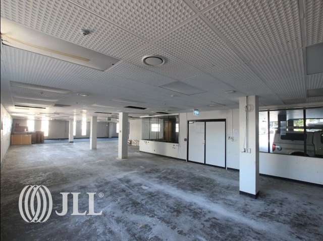 Ground Floor/19 Morgan Street Newmarket_2