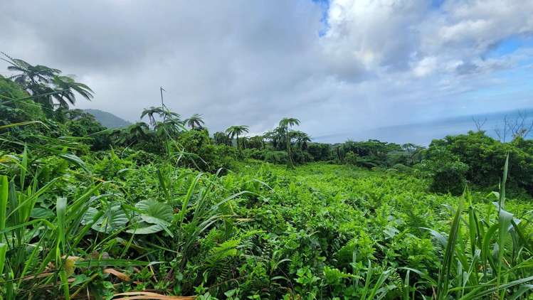 Address withheld Taveuni_16