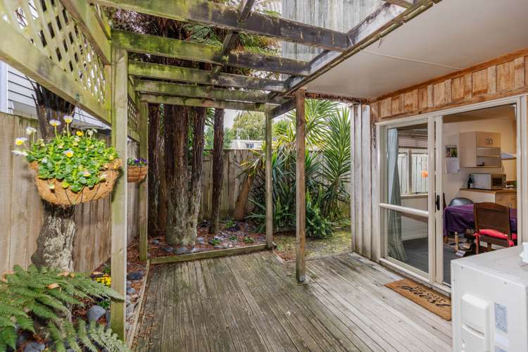 34a Campbell Street Frankton_17