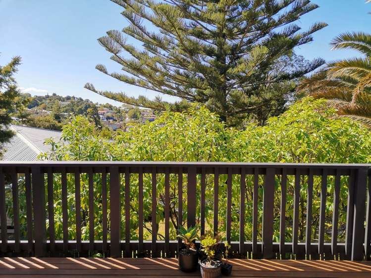 85e Stottholm Road Titirangi_5