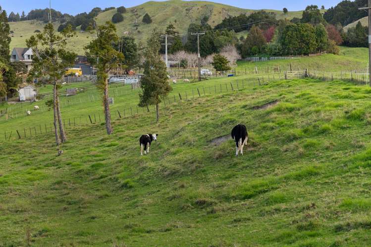 471 Haruru Road Wainui_28