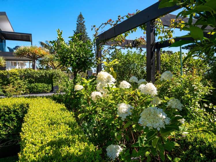 93 Marine Parade Mount Maunganui_15