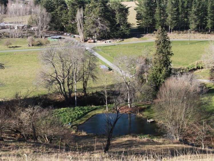 20 Three Mile Bush Road Pleasant Point_5