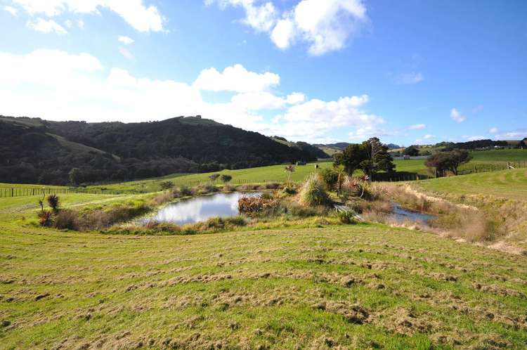 352 Heatley Road Whakapirau_19