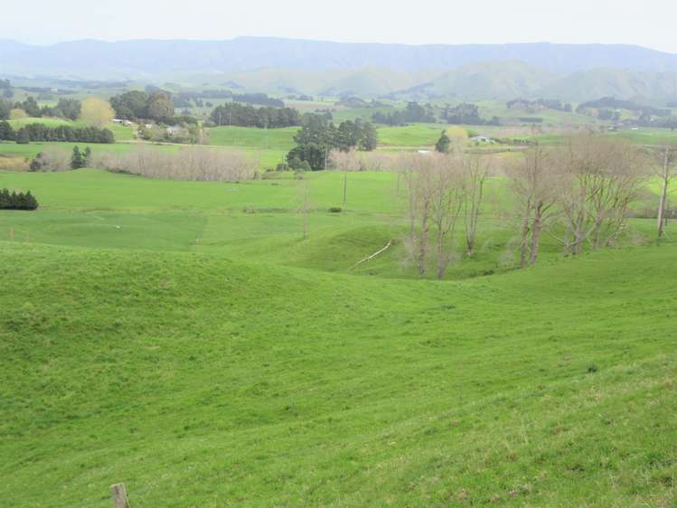76412 State Highway 2 Rangitikei Surrounds_5
