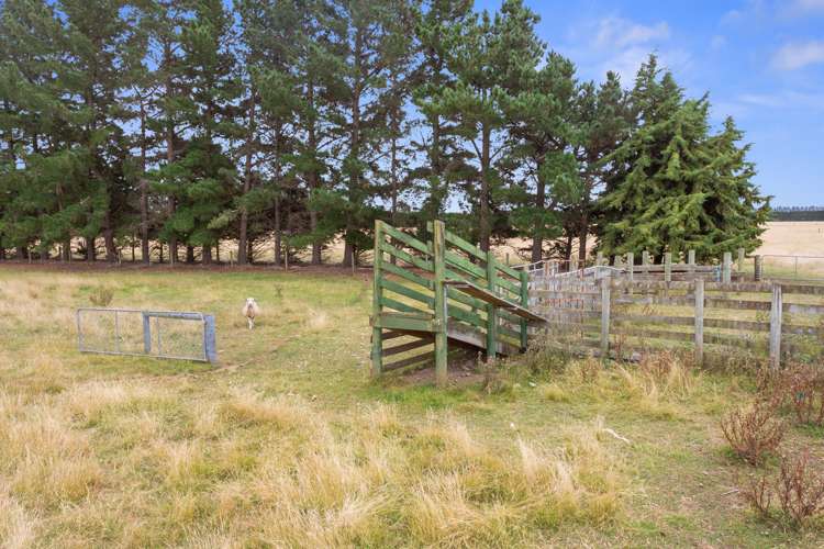 317 Innes Road Amberley_20