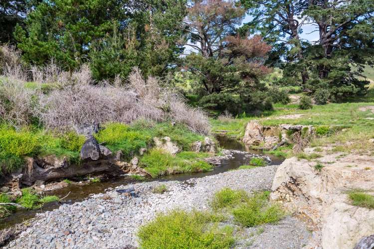 200 Garfield Road Norsewood_15