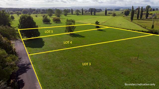 Lot 5/163 Old Te Kuiti Road Otorohanga_3