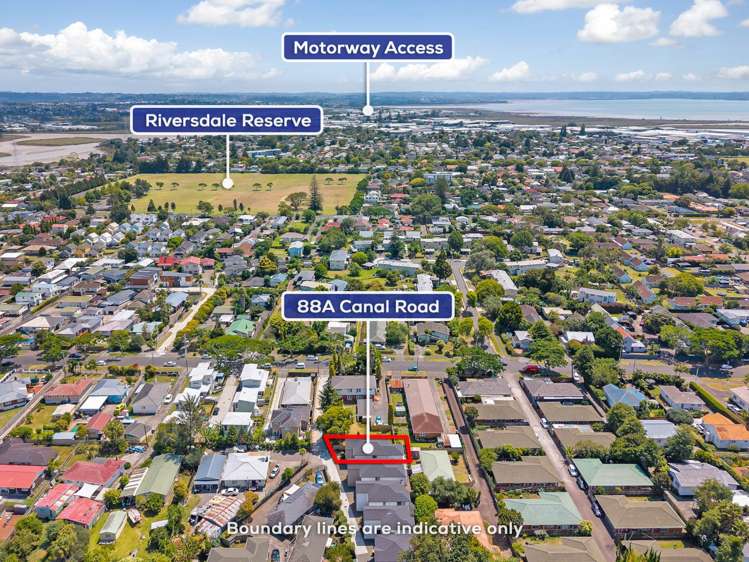 88a Canal Road Avondale_24