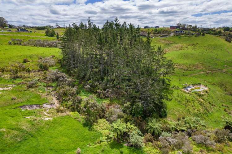 183A Wiroa Road Kerikeri_15