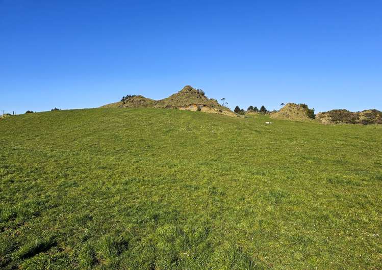 162 Amoore Road Hamurana_0